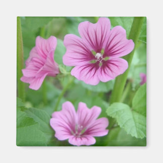 Aimant Fleurs Roses
