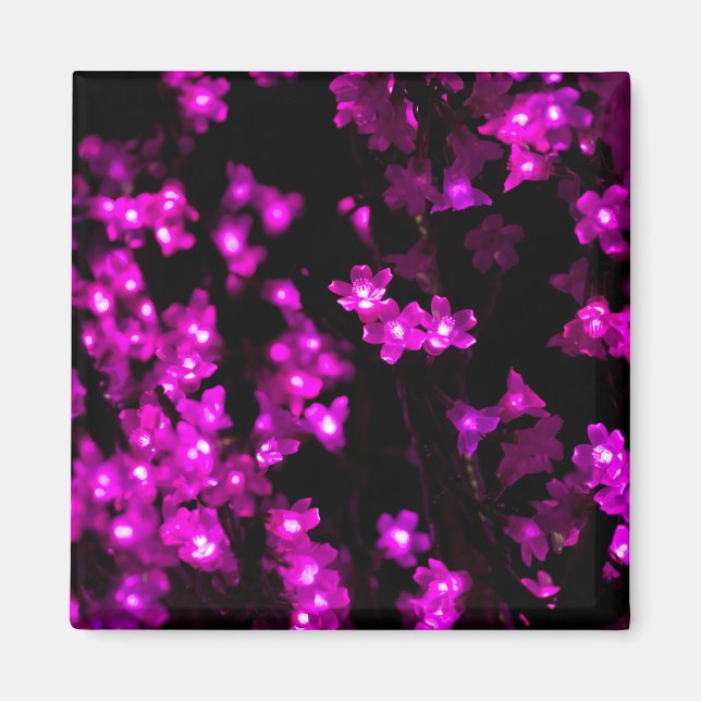 Aimant Fleurs roses éclatantes (Devant)