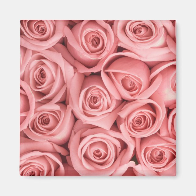 Aimant Fleurs | Roses roses (Devant)