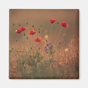 Aimant fleurs sauvages