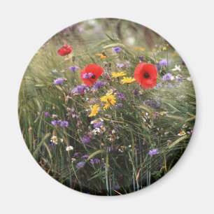 Aimant Fleurs sauvages