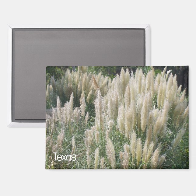 Aimant Fleurs sauvages du Texas (Recto/Verso)