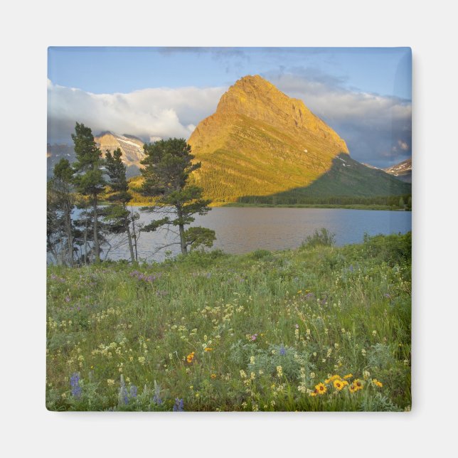 Aimant Fleurs sauvages le long du lac Swiftcurrent dans l (Devant)