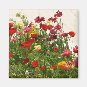 Aimant Fleurs sauvages sur le champ vert