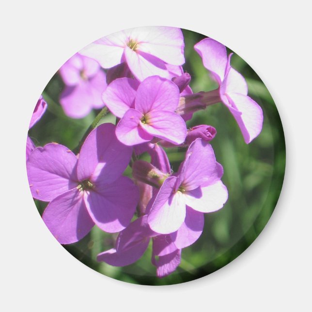 Aimant Fleurs sauvages violets (Devant)