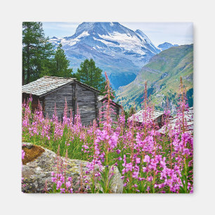 Aimant Fleurs   Summer Matterhorn Suisse