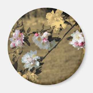 Aimant Fleurs sur l'aimant de fleur de sépia