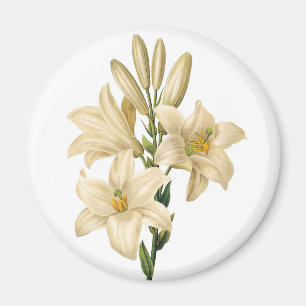 Aimant Fleurs vintages 1