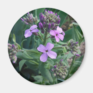 Aimant Fleurs Violettes