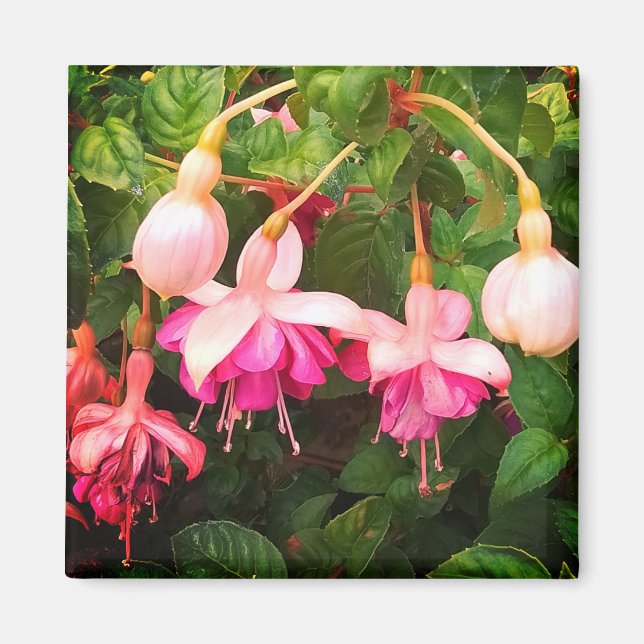 Aimant Fleurs violettes et blanches (Devant)