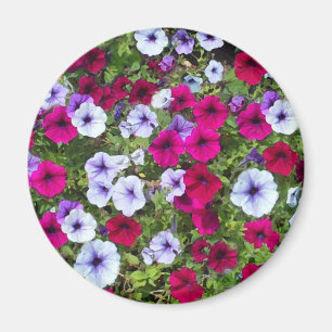 Aimant Fleurs violettes et lavandeuses :