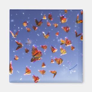 Aimant flexible Fantasia été