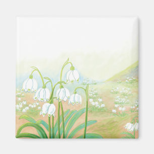 Aimant Flocon de neige de printemps, Leucojum vernum Illu