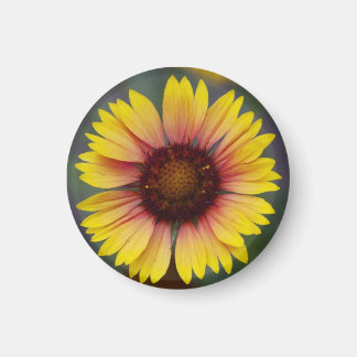 Aimant floral de marguerite jaune mignon
