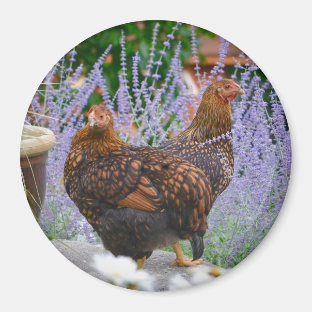 Aimant floral de poulet (Devant)