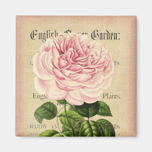 Aimant floral féminin vintage de fleur rose
