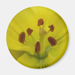 Aimant floral jaune