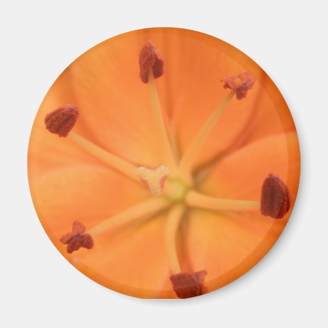 Aimant Floral Lily orange (Devant)