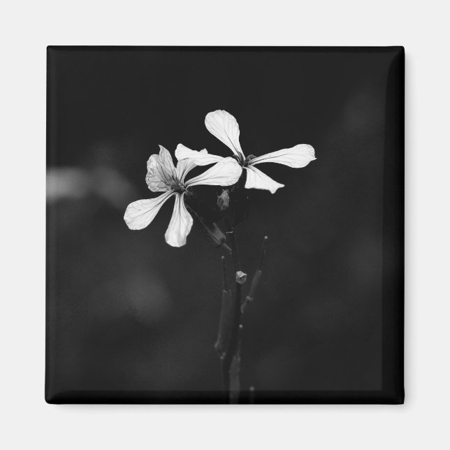 Aimant floral noir et blanc minimal (Devant)