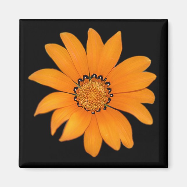 Aimant floral orange (Devant)