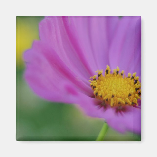 Aimant floral rose (Devant)