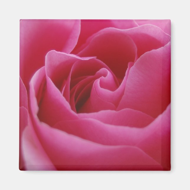 Aimant floral rose (Devant)