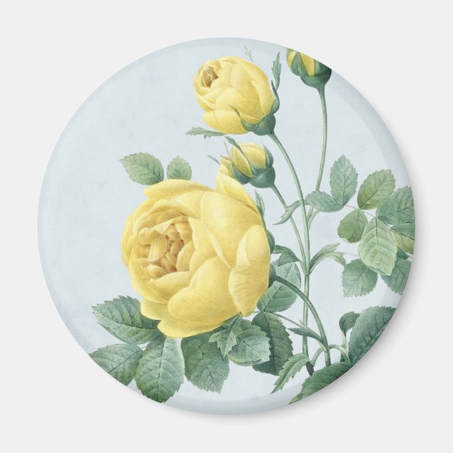 Aimant floral vintage avec belle rose jaune (Devant)