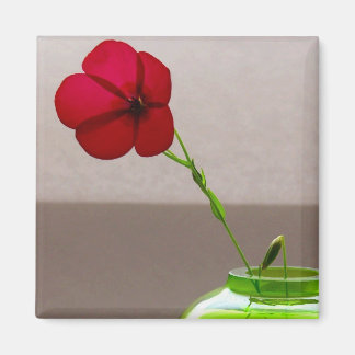 Aimant Flore rouge