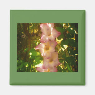 Aimant Flores de fleurs roses en hausse