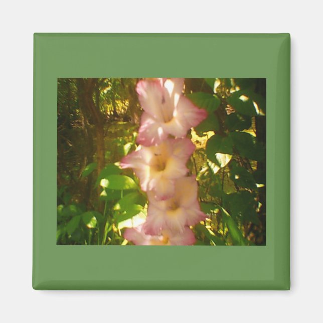 Aimant Flores de fleurs roses en hausse (Devant)