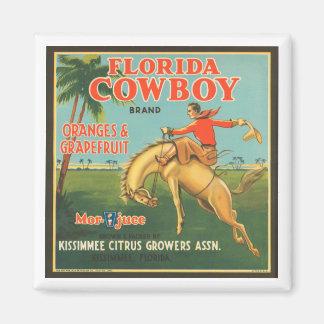 Aimant Florida Cowboy Kissimmee Citrus Growers Vintage Cr