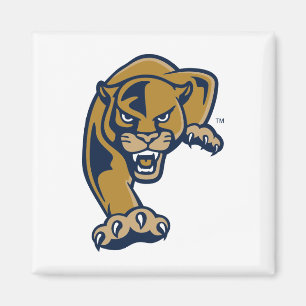 Aimant Florida International University Panthers