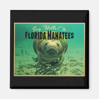Aimant Florida Manatees