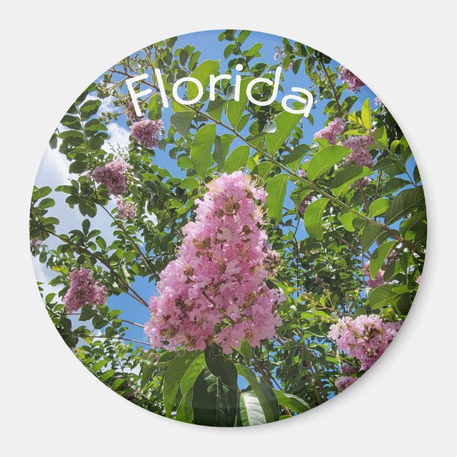 Aimant Floride fleurit (Devant)
