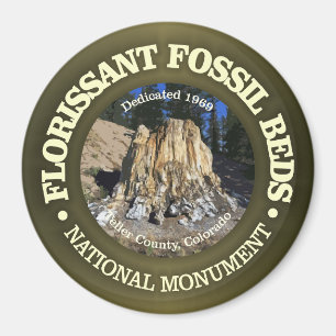 Aimant Florissant Fossil Beds (NM)