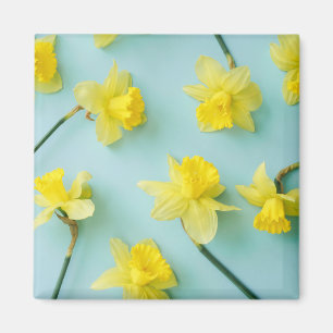 Aimant Flowers (homonymie) Daffodils