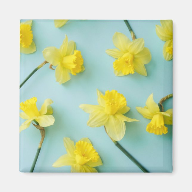 Aimant Flowers (homonymie) | Daffodils (Devant)