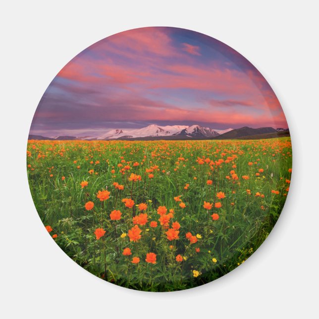 Aimant Flowers (homonymie) | Fayot Field Snowcapped Mount (Devant)