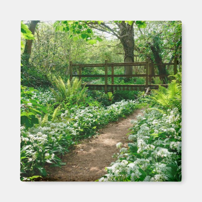 Aimant Flowers | White Wildflowers in Forest (Devant)