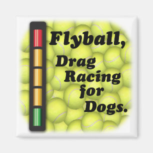 Aimant Flyball est emballage d'entrave/aimant