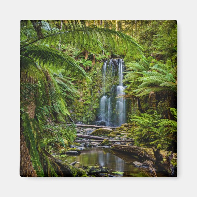 Aimant Forêt | Beauchamp Falls Australie (Devant)