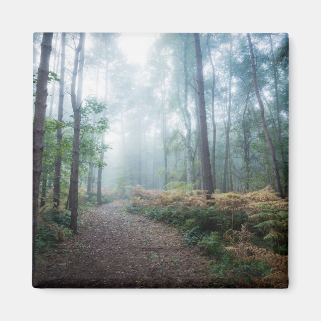 Aimant Forêt | Dark Foggy Woods Norfolk UK (Devant)