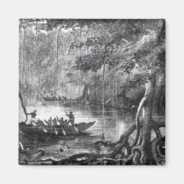Aimant Forêt de mangrove (Devant)