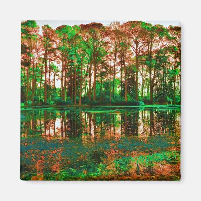 Aimant Forêt d'Imaginaires par Shirley Taylor (Devant)