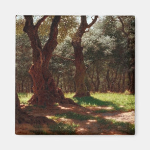 Aimant Forêt d'oliviers au Cap Saint Martin