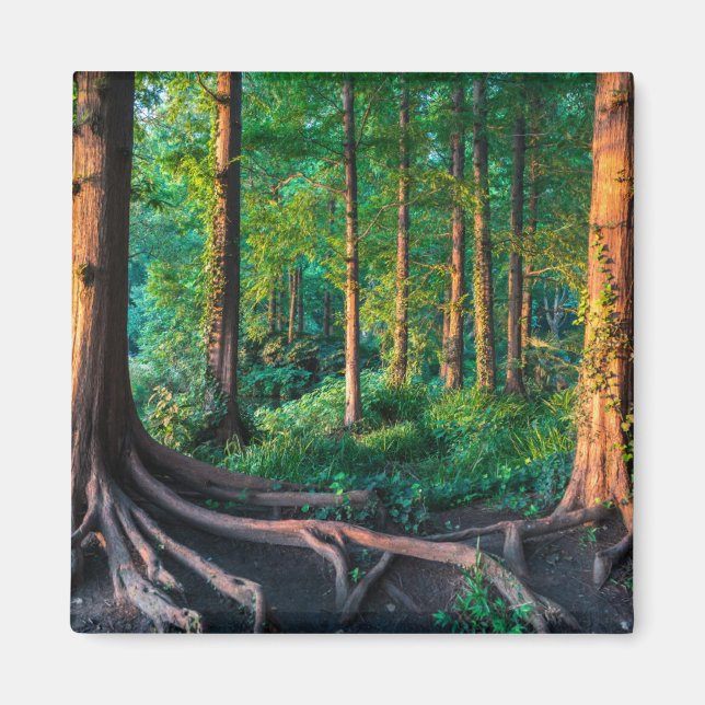 Aimant Forêt en été (Devant)