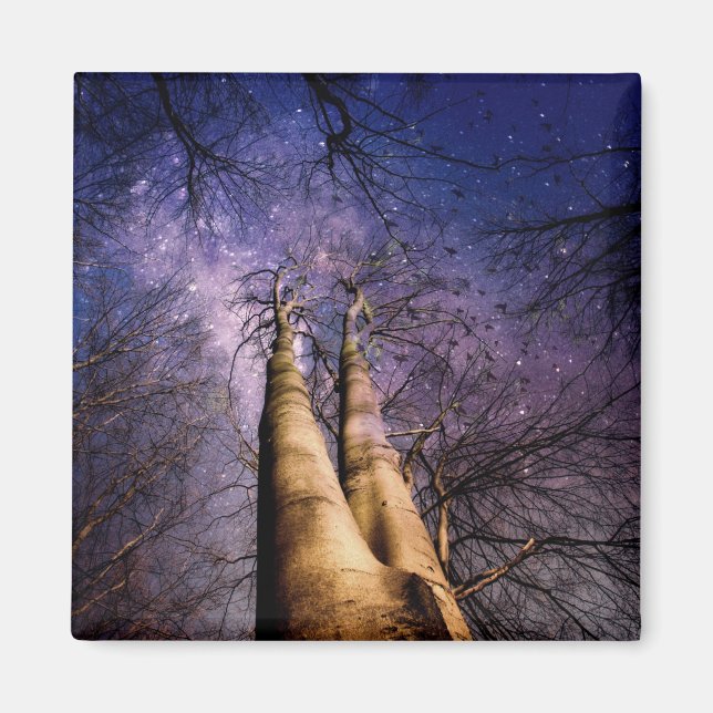 Aimant Forêt enchantée (Devant)
