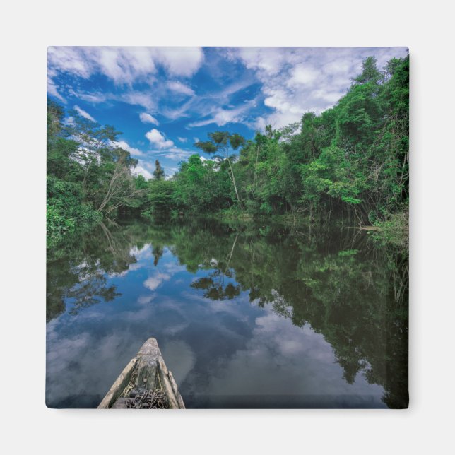Aimant Forêt | Forêt de la jungle péruvienne (Devant)