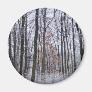 Aimant Forêt huppée neige paysage d'hiver Photographie