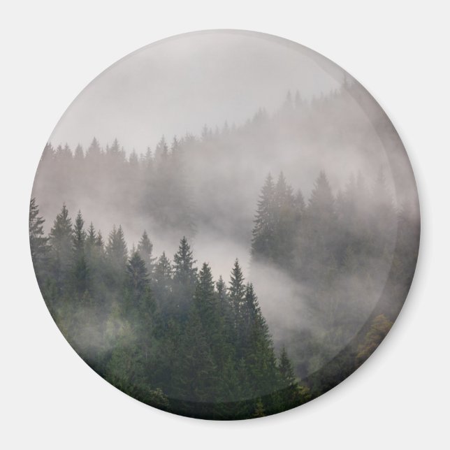 Aimant Forêt Misty dans les montagnes (Devant)
